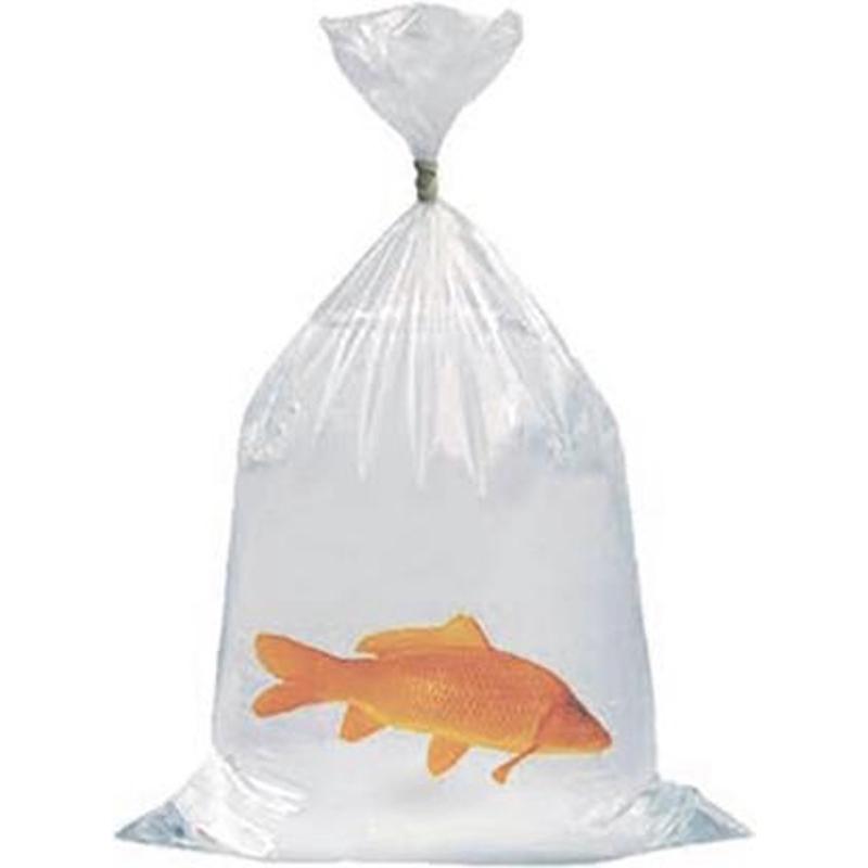 Buy Fish Bags (10) - 8