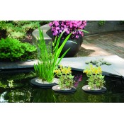 Planten Eiland