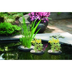 Planten Eiland