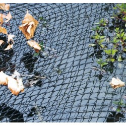 Cover Net