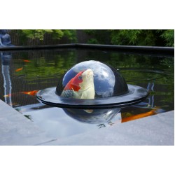 Fish Dome