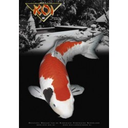 NVN KOI Magazin Nr 82
