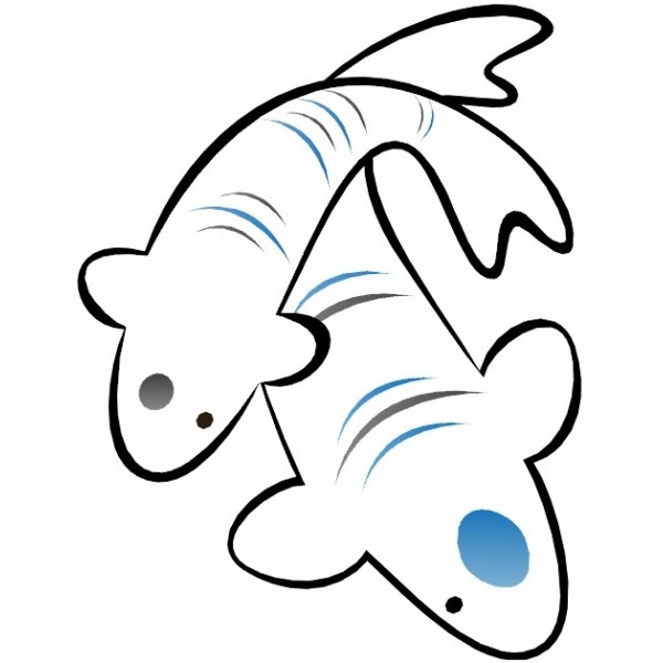Koi Consult 000000000001 
